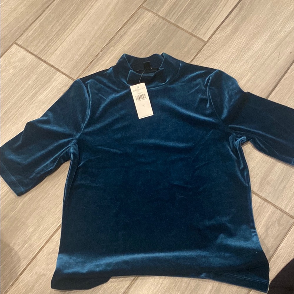 Blue Velvet Mock Neck Top